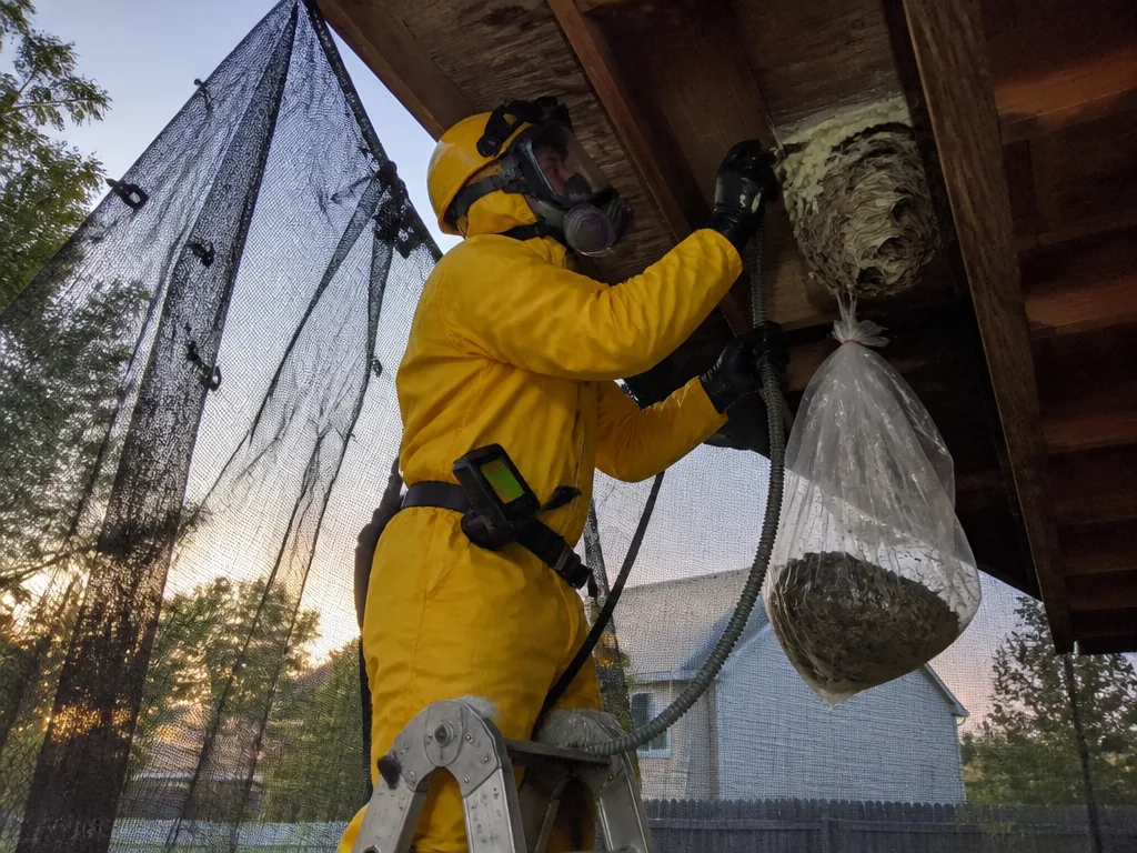 Hornet Nest Removal